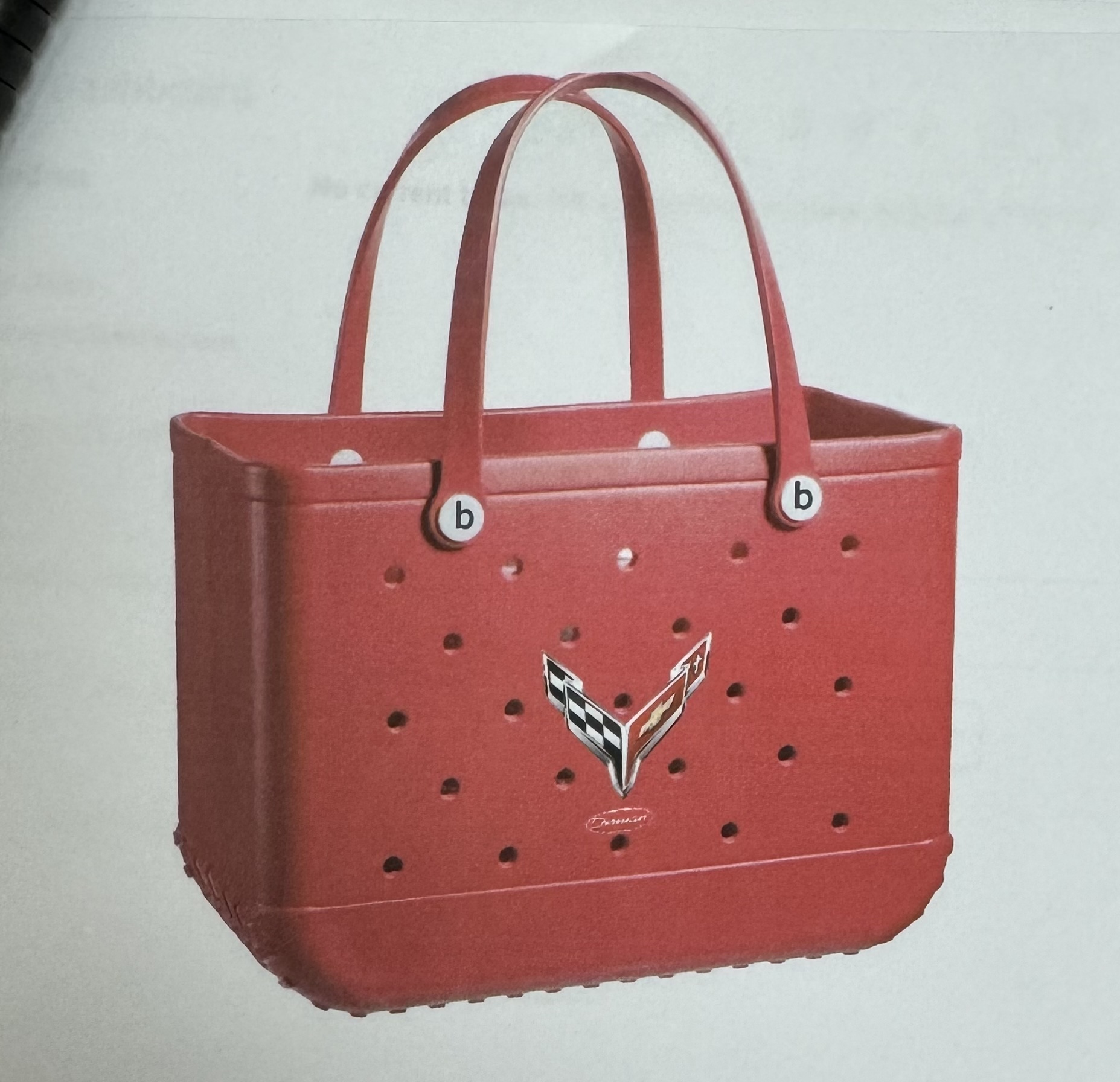 Beach Bag